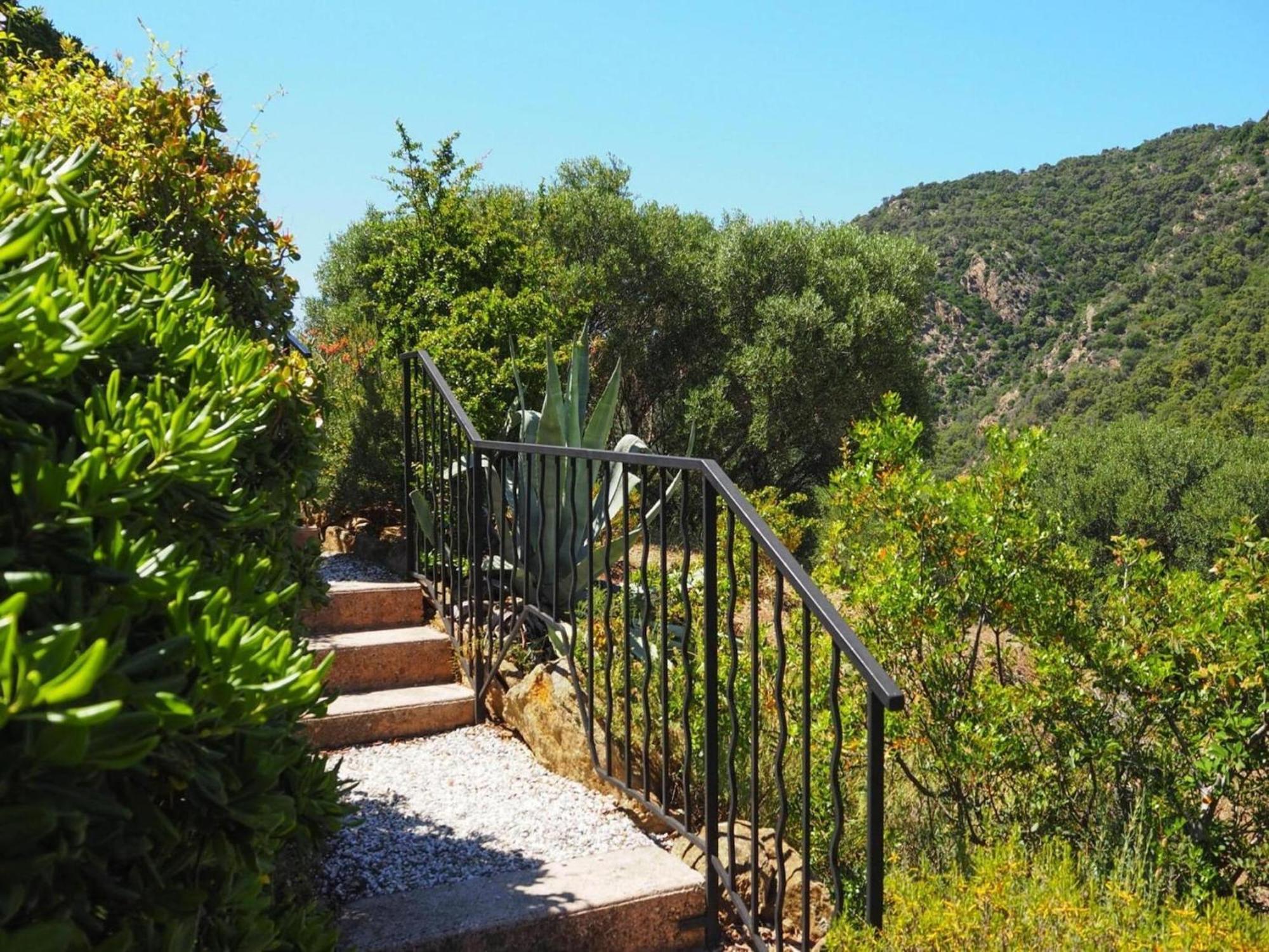 Pretty Tiny House With Sea View, Le Lavandou Eksteriør bilde