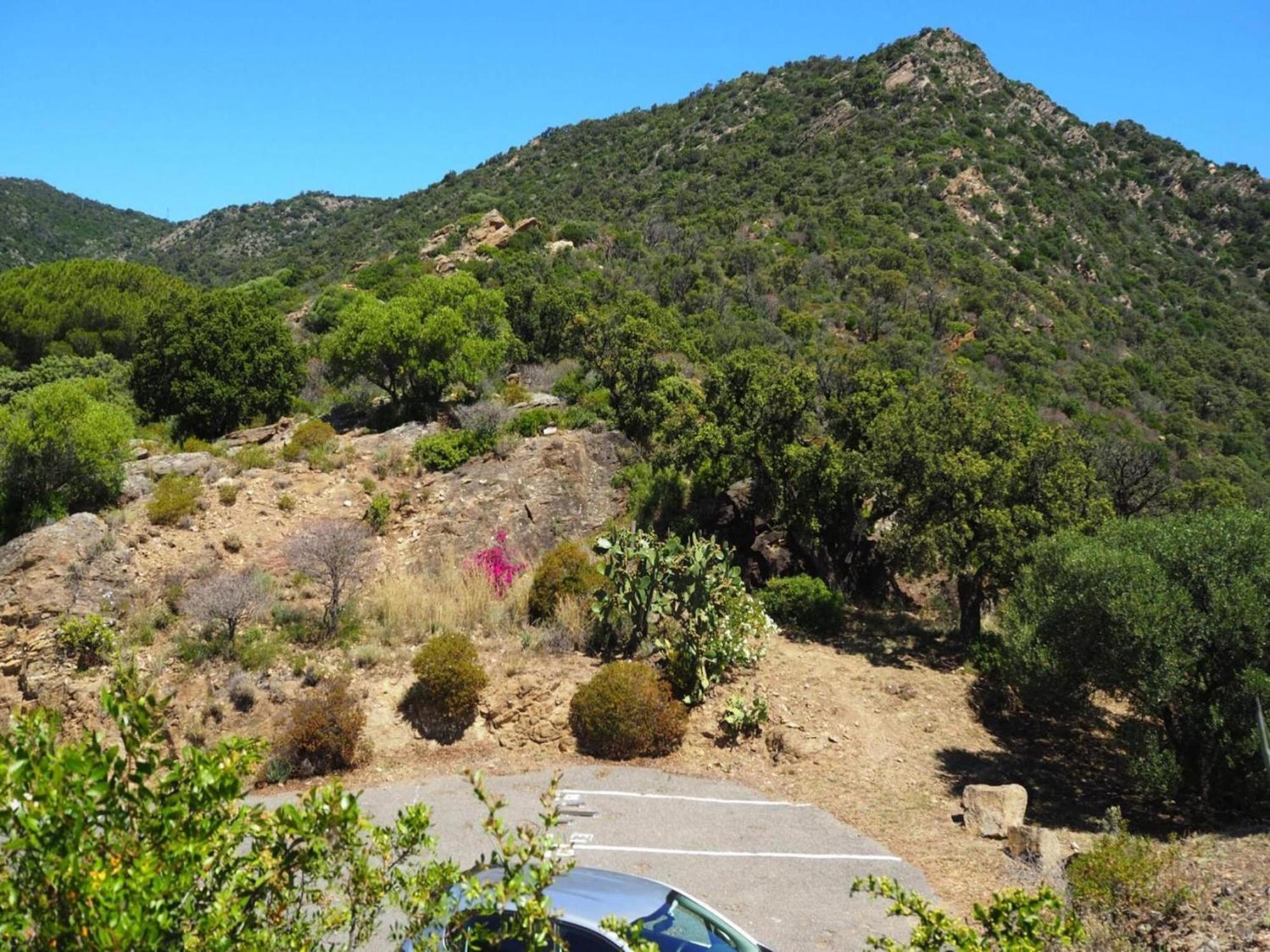 Pretty Tiny House With Sea View, Le Lavandou Eksteriør bilde
