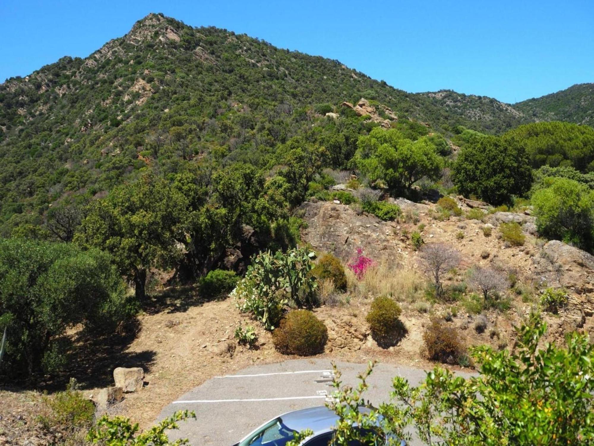 Pretty Tiny House With Sea View, Le Lavandou Eksteriør bilde
